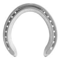 FERRI IN ALLUMINIO CONCORDE RIALZATI 2 POSTERIORI 1 BARBETTA