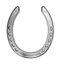 FERRI IN ALLUMINIO TROTTO LEGGERI ANTERIORI